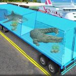 Transport Sea Animal
